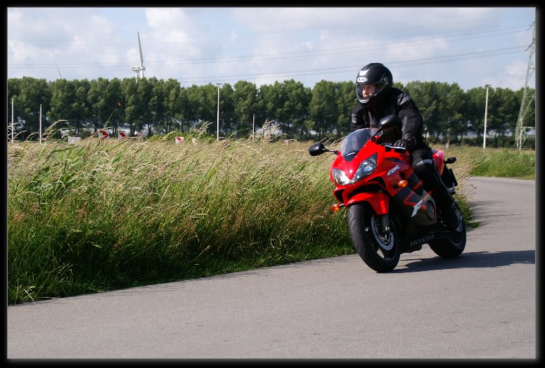 753x501 pixels (110K)