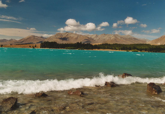 Nz0005