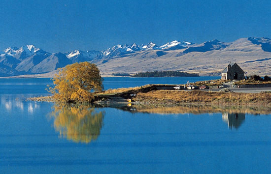 Nz0006