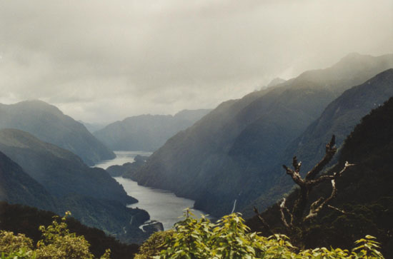 Nz0011