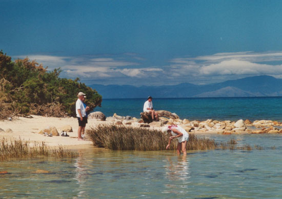 Nz0018