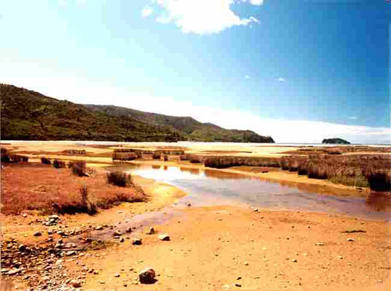 Nz0019