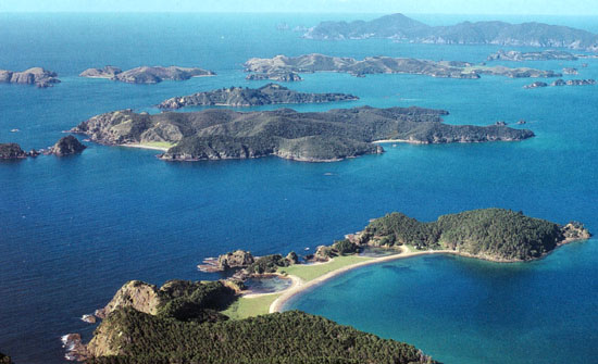 Nz0029